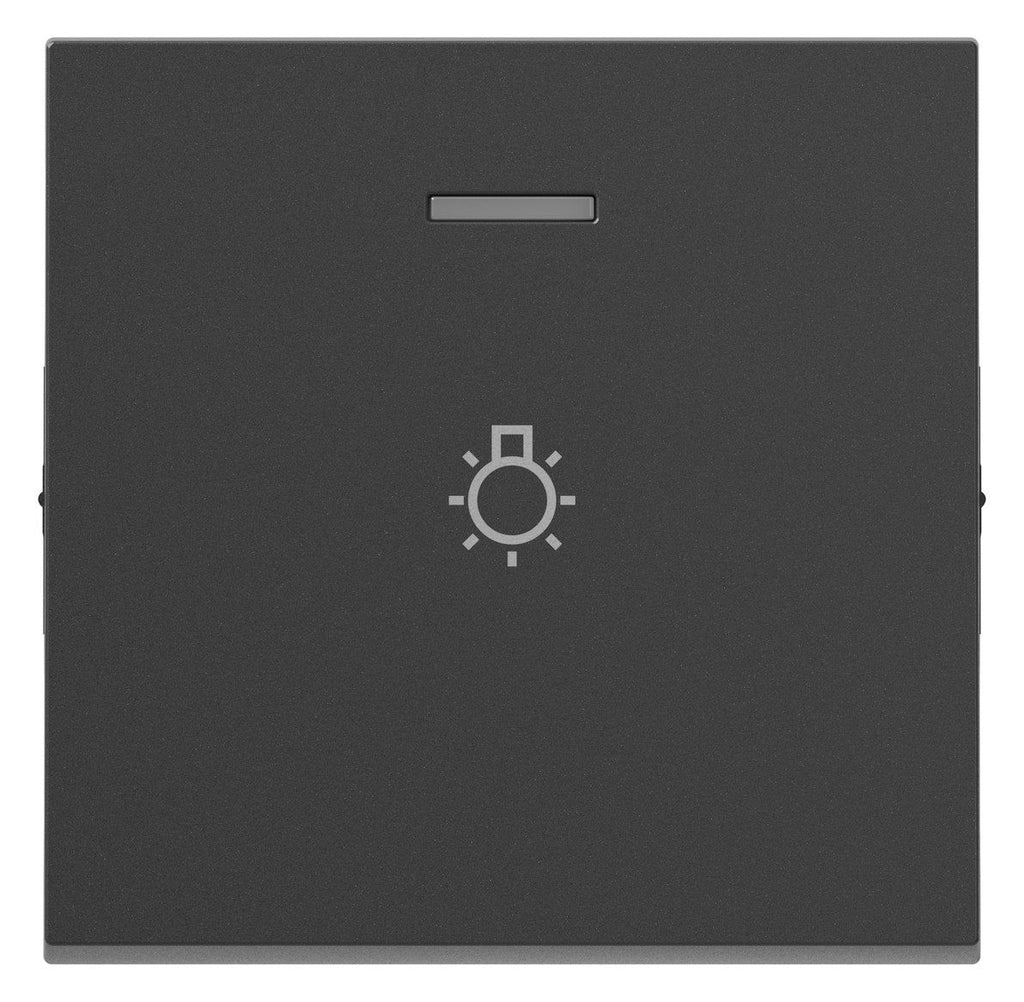Legrand 765416 SEANO Wippe beleuchtet m. Symbol Licht in der Farbausführung