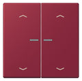 Jung LC102KO5P255 Wippe m.Lichtleiter u. Pfeilsymbolen