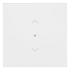 BJ 6232-10-44G Wippe 1-fach m.Symbol "Jalousie"