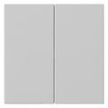 GIRA 5370015 Wippe 2fach unbedruckt System 55 Grau matt (lackiert)