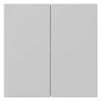 GIRA 5370015 Wippe 2fach unbedruckt System 55 Grau matt (lackiert)