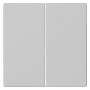 GIRA 5370015 Wippe 2fach unbedruckt System 55 Grau matt (lackiert)