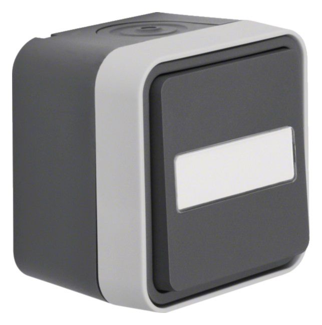 Berker 30763555 Wechselschalter m.B-feld Ap W.1 grau