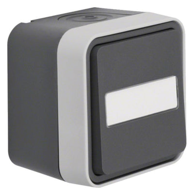 Berker 30763555 Wechselschalter m.B-feld Ap W.1 grau
