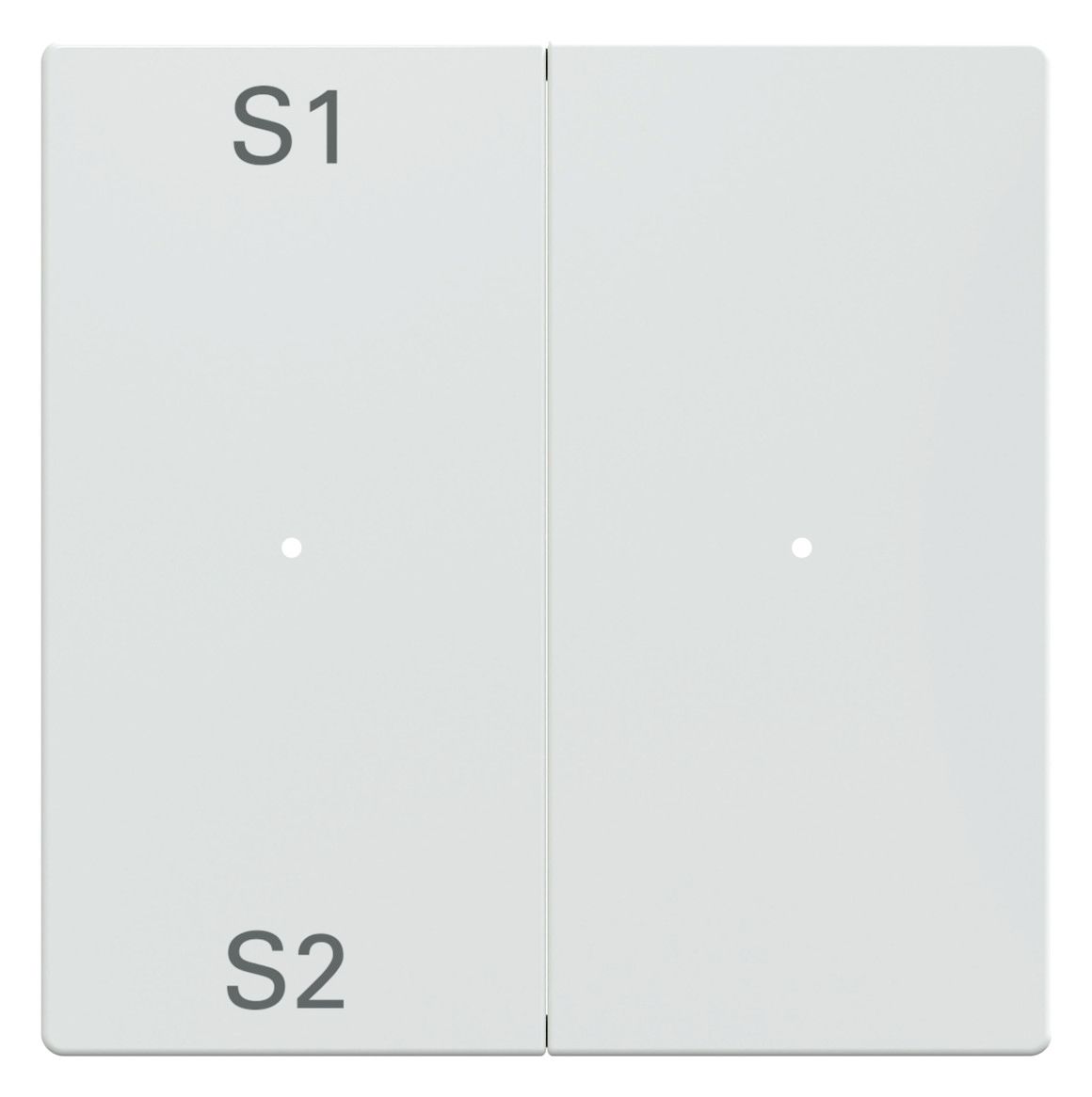 Mert MEG 5226-0325 Wippen f.Taster- Modul 2fach (Szene1/2,blank) aktivweiß