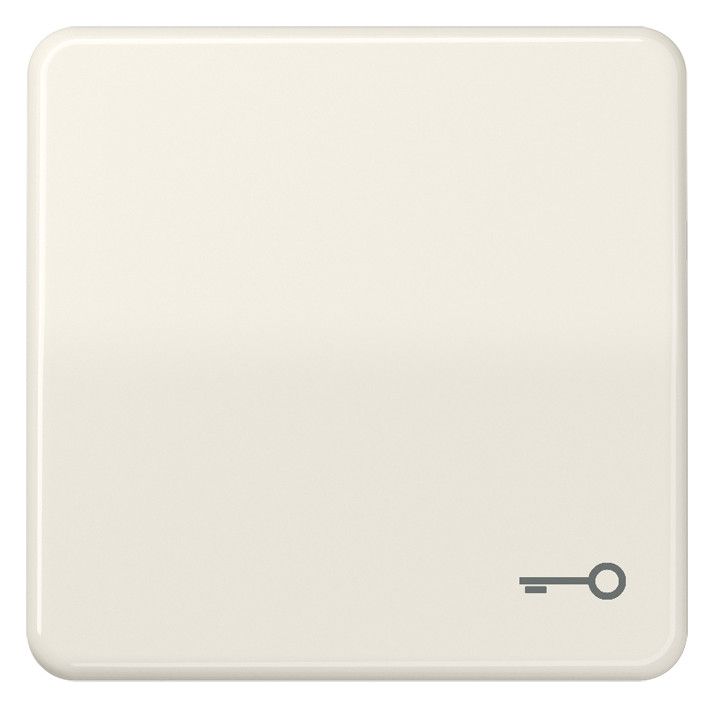Jung CD590BFT Wippe Symbol Tür bruchsicher weiß