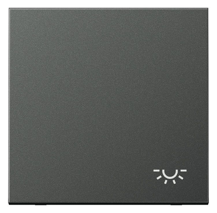 Jung AL2990LAN Wippe Symbol Licht LS Aluminium anthrazit