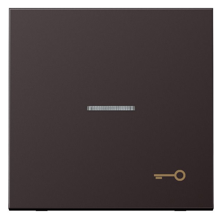 Jung AL2990KO5TD Wippe Symbol Tür m.Lichtleiter LS Aluminium dark