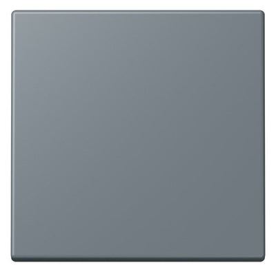 Jung LC990251 Wippe f.Schalter/Taster LC4320H