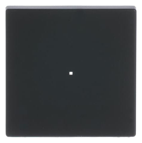 BJ 6230-10-885 Wippe 1f schwarz matt Busch-free@home future linear