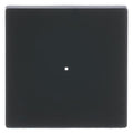 BJ 6230-10-885 Wippe 1f schwarz matt Busch-free@home future linear
