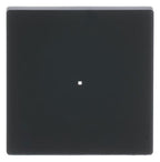 BJ 6230-10-885 Wippe 1f schwarz matt Busch-free@home future linear