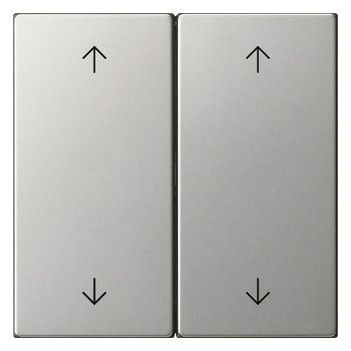 GIRA 5387600 Wippe 2fach Pfeile System 55 Edelstahl