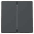 GIRA 329528 Wippe 2fach System 55 Anthrazit