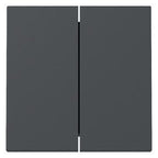 GIRA 329528 Wippe 2fach System 55 Anthrazit