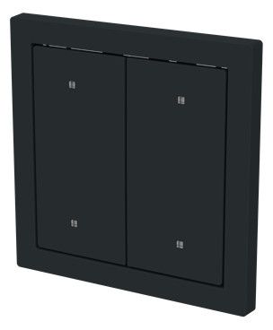 BJ 2570-20-45M Wippe f.Elektroniktaster 2-fach