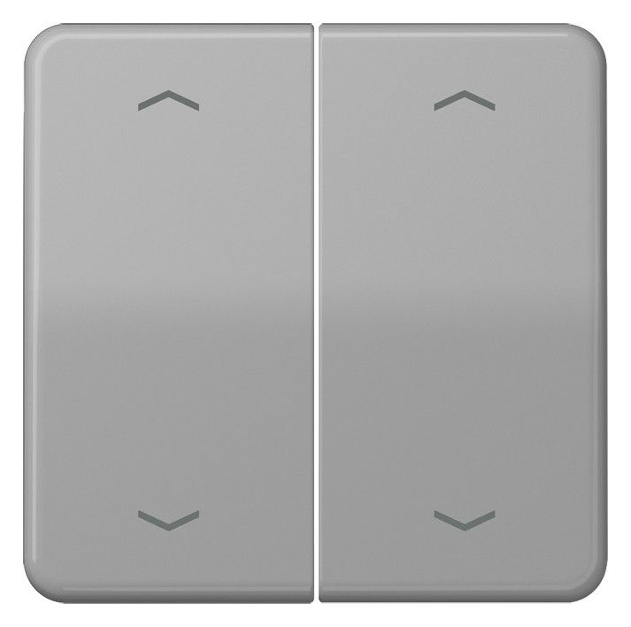 Jung CD102PGR Wippe f.Serientasterpfeile