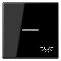 Jung A590BFKO5LSW Wippe Symbol Licht m.Lichtleiter Serie A schwarz