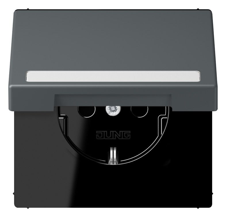 Jung LC1520BFNAKL202 SCHUKO-Steckd.KI m. Klappdeckel m.S