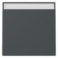 GIRA 329928 Wippe Beschriftungsfeld System 55 Anthrazit