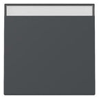 GIRA 329928 Wippe Beschriftungsfeld System 55 Anthrazit