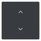 BJ 6735-11-81 Wippe 1-fach m.Symbol "Jalousie" Format 63