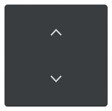 BJ 6735-11-81 Wippe 1-fach m.Symbol "Jalousie" Format 63