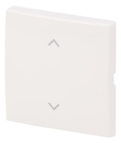 BJ 6735-11-914 Wippe 1-fach m.Symbol "Jalousie" Busch-balance® SI