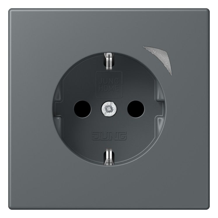 Jung BTLC1521SE202 JUNG HOME SCHUKO Steckdose Energy LC3201