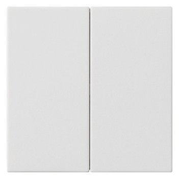 GIRA 537027 Wippe 2fach unbedruckt System 55 Reinweiß seidenmatt