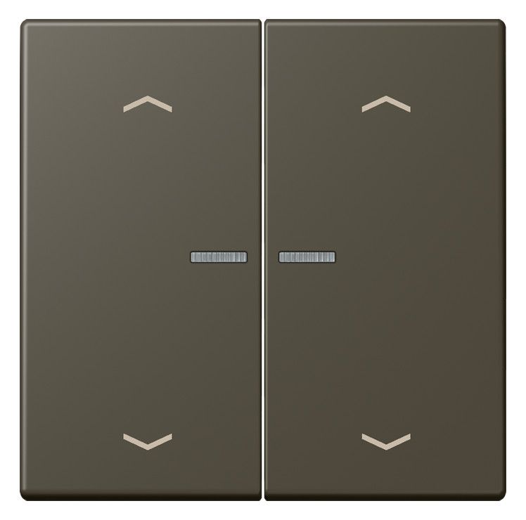 Jung LC102KO5P241 Wippe m.Lichtleiter u. Pfeilsymbolen