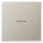 Jung ES2990KO5 Wippe Lichtleiter LS Edelstahl