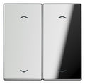 Jung GCR102P Wippe f.Serientasterpfeile