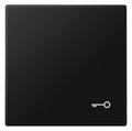 Jung LS 990 T SWM Wippe 1fach Symbol Tür Serie LS graphitschwarz matt