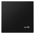 Jung LS 990 T SWM Wippe 1fach Symbol Tür Serie LS graphitschwarz matt