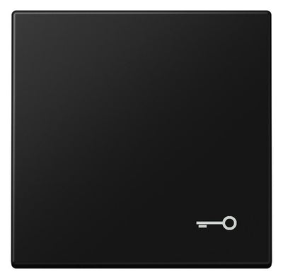 Jung LS 990 T SWM Wippe 1fach Symbol Tür Serie LS graphitschwarz matt
