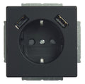 BJ 20 EUCB2USB-885 SCHUKO-/2x USB-Steckdose