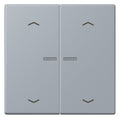 Jung LC102KO5P257 Wippe m.Lichtleiter u. Pfeilsymbolen