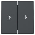 GIRA 329428 Wippe 2fach Pfeil System 55 Anthrazit