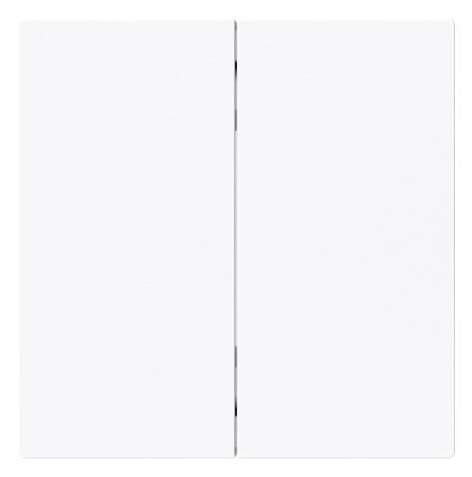 BJ 6736 FoH-44G Wippe 2-fach Smart Switch