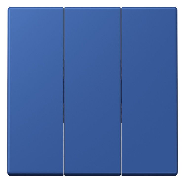 Jung LC993BF253 Wippe f.3fach Schalter LC4320K