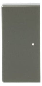 BJ 6230-20-866 Wippe 2f edelstahl Busch-free@home pur Est