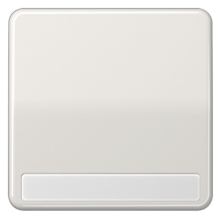 Jung CD590NALG Wippe Schriftfeld lichtgrau