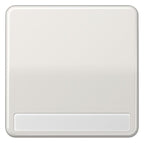 Jung CD590NALG Wippe Schriftfeld lichtgrau