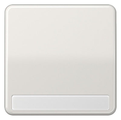 Jung CD590NALG Wippe Schriftfeld lichtgrau