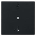 GIRA 5388005 Wippe 1fach Pfeile KF System 55 Schwarz matt (lackiert)