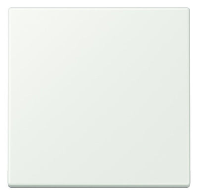 Jung LC101210 Wippe f.KNX Taster 1fach LC32024