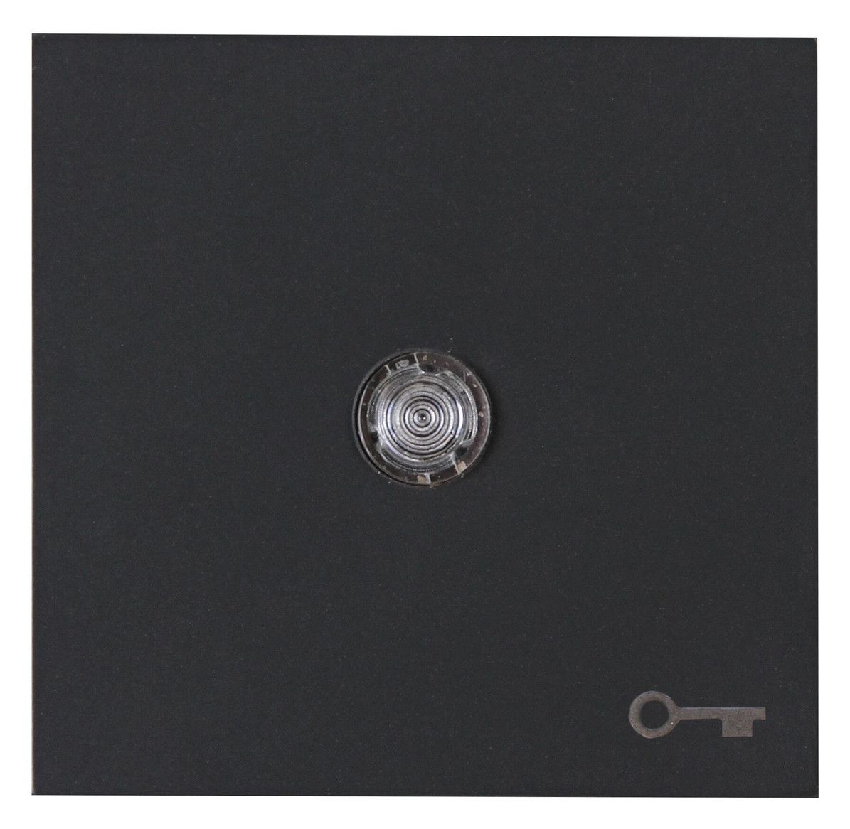 Kopp 490466005 HK07 Flächenwippe m.Linse u.Symbol "Schlüssel" anthrazit