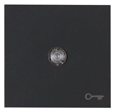 Kopp 490466005 HK07 Flächenwippe m.Linse u.Symbol "Schlüssel" anthrazit