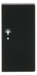 BJ 6231-22-885 Wippe/R 2f Licht schwarz matt Busch-free@home future linear